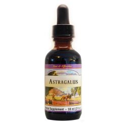 Astragalus Root Extract