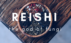 Spotlight on ‘the God of Fungi’ Reishi